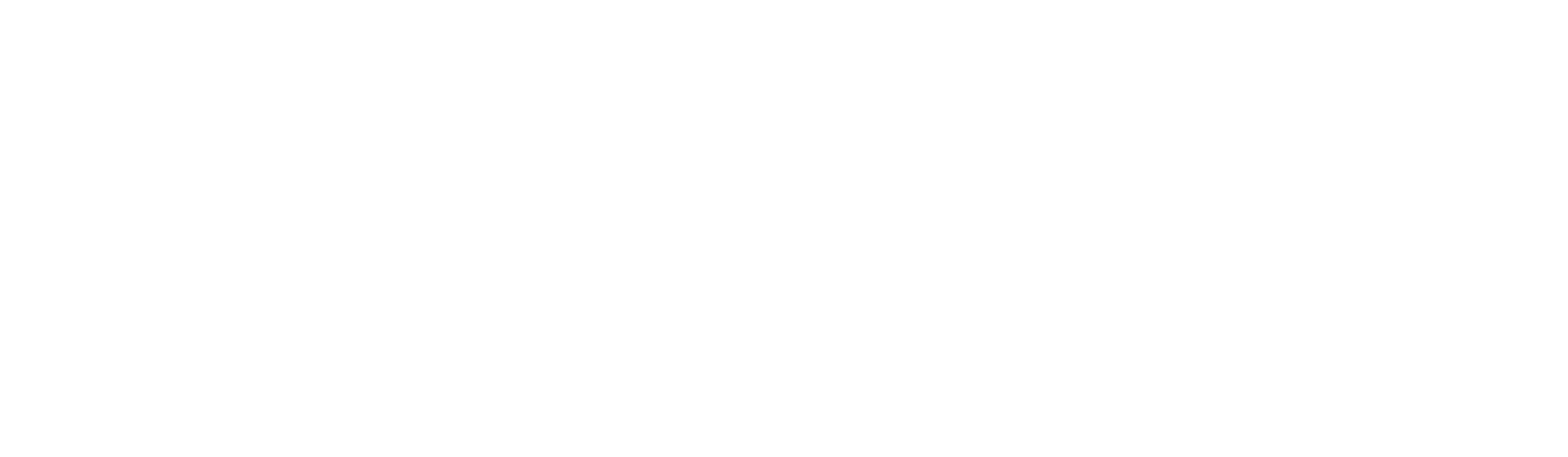National Elite Sports Coaching